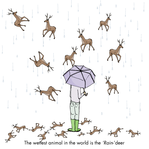 The wettest animal is the raindeet