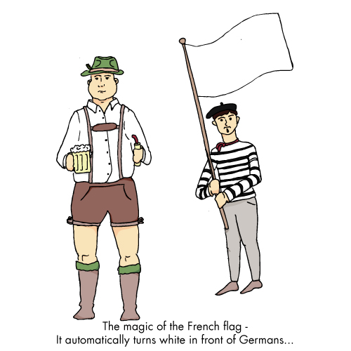 The French flag