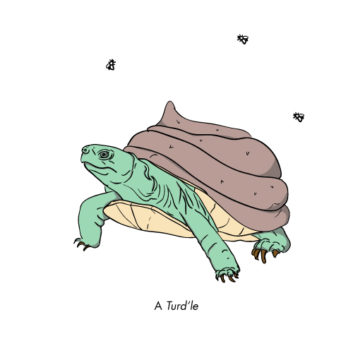 A Turdle